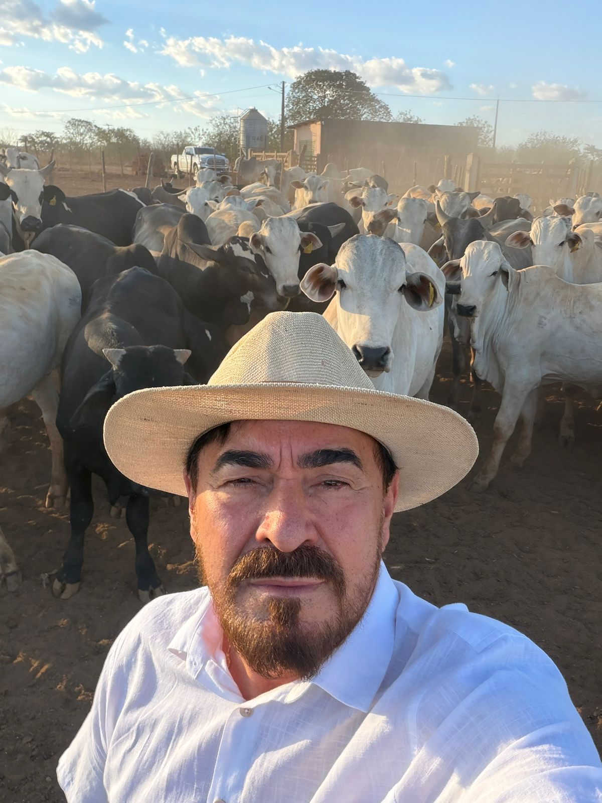 Empresário Rinaldo Medeiros, conhecido como “Rei do Ovo”, se revolta após novo ataque a criação de carneiros e cobra ação do poder público em Princesa Isabel