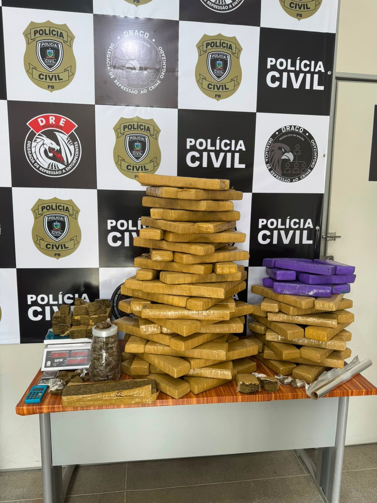 Polícia apreende quase 100 kg de maconha em apartamento em Campina Grande