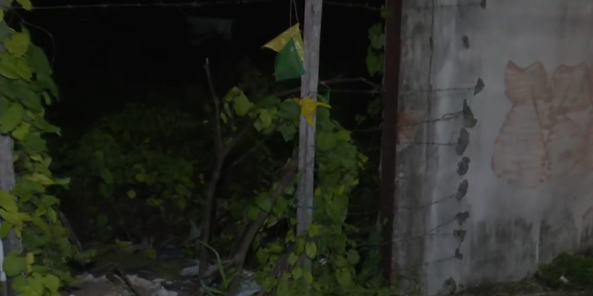 Corpo é encontrado em estado de decomposição em terreno, em João Pessoa