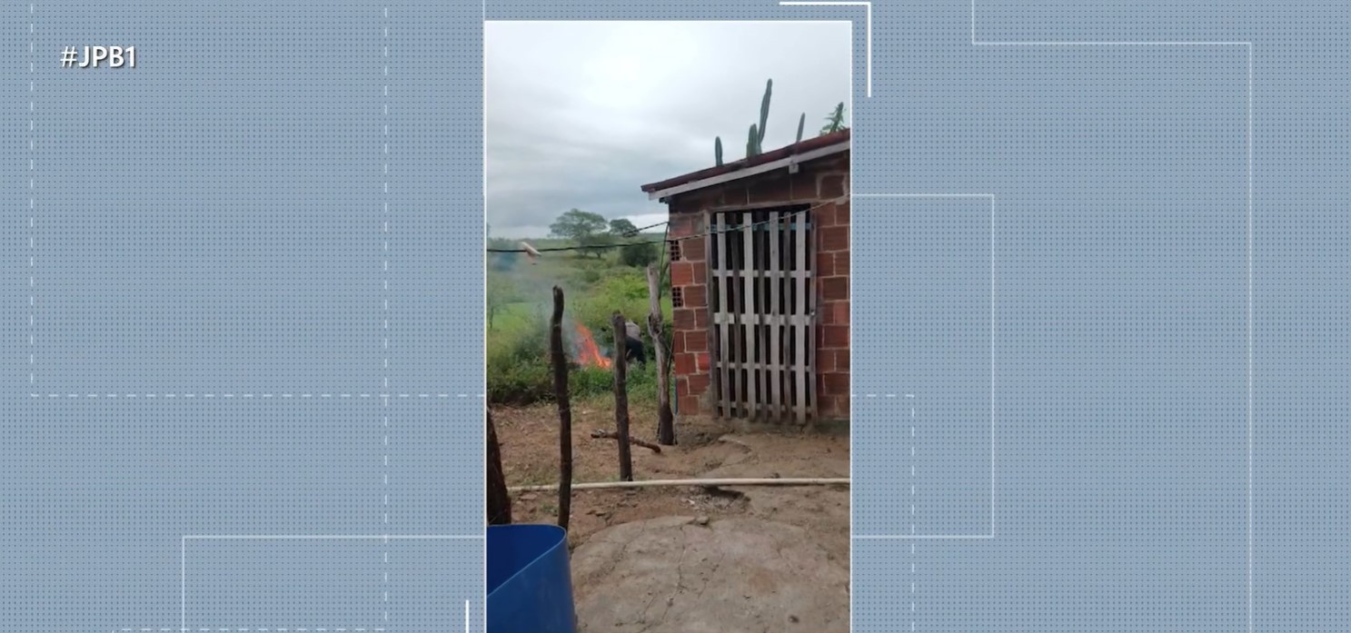 Justiça mantém prisão de homem suspeito de espancar cachorro e jogar animal em fogueira no Agreste da PB