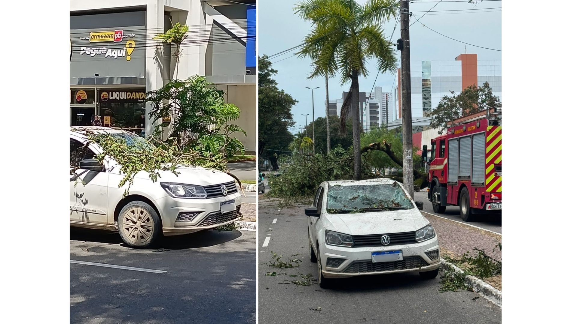 Chuvas e fortes ventos provocam queda de árvores, derrubam estrutura de festa e causam transtornos na PB; VÍDEO