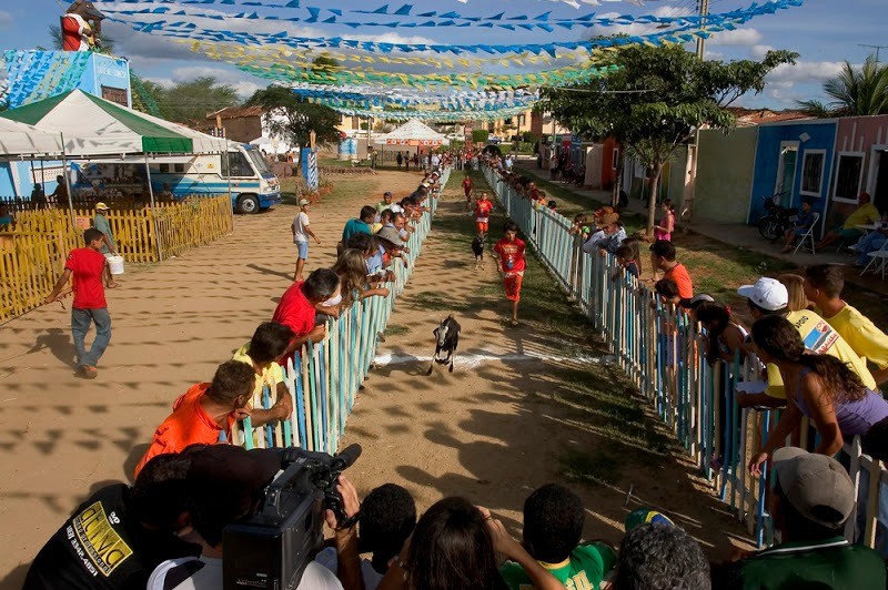 Programação da Festa do Bode Rei 2026, em Cabaceiras, é divulgada